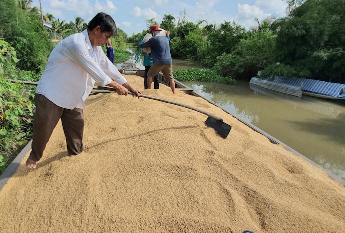 Hoạt động và vai trò của VFA